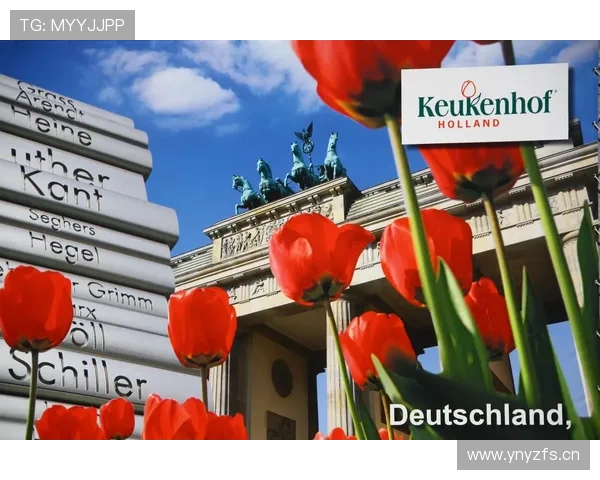 荷兰国家队郁金香军团近期表现稳健竞争力增强