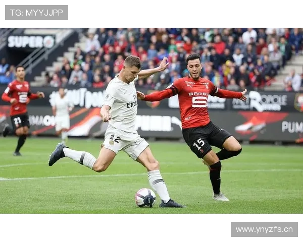 本菲卡本赛季表现稳健，竞争力持续提升